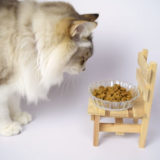 猫が餌皿をひっくり返すのはなぜ？